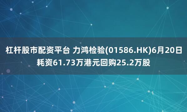 杠杆股市配资平台 力鸿检验(01586.HK)6月20日耗资61.73万港元回购25.2万股