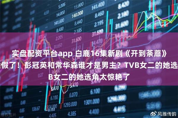 实盘配资平台app 白鹿16集新剧《开到荼蘼》短发造型太假了！彭冠英和常华森谁才是男主？TVB女二的她选角太惊艳了